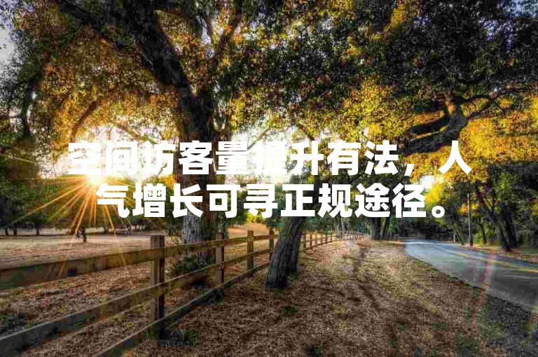 空间访客量提升有法，人气增长可寻正规途径。