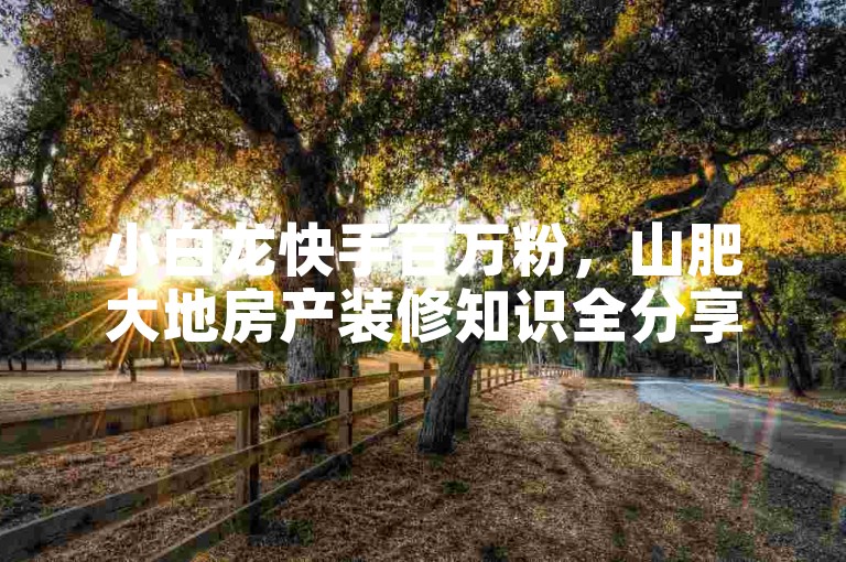 小白龙快手百万粉，山肥大地房产装修知识全分享