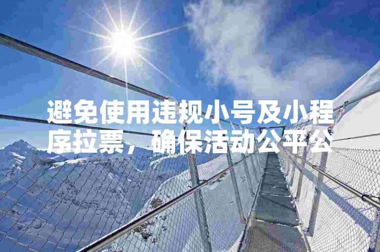避免使用违规小号及小程序拉票，确保活动公平公正。