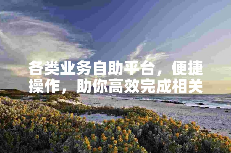 各类业务自助平台，便捷操作，助你高效完成相关事务。