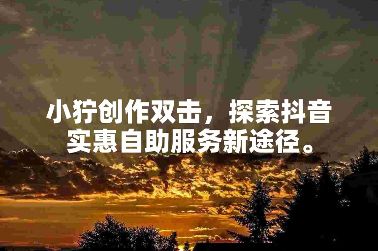 小狞创作双击，探索抖音实惠自助服务新途径。
