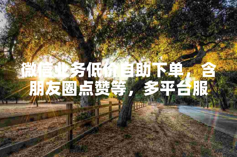 微信业务低价自助下单，含朋友圈点赞等，多平台服务可体验。
