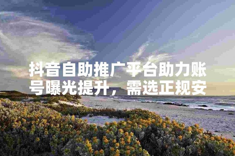 抖音自助推广平台助力账号曝光提升，需选正规安全平台操作。