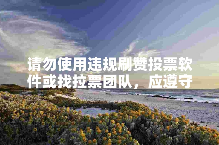 请勿使用违规刷赞投票软件或找拉票团队，应遵守规则公平参与。
