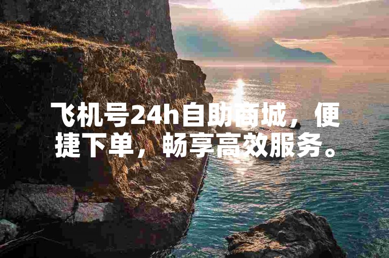 飞机号24h自助商城，便捷下单，畅享高效服务。