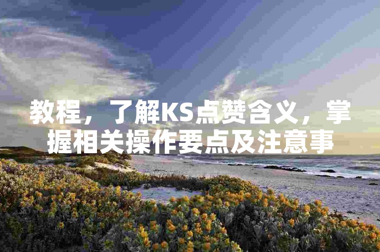 教程，了解KS点赞含义，掌握相关操作要点及注意事项。