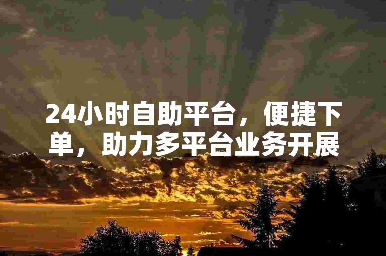 24小时自助平台，便捷下单，助力多平台业务开展。