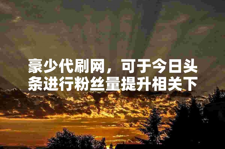 豪少代刷网，可于今日头条进行粉丝量提升相关下单操作。