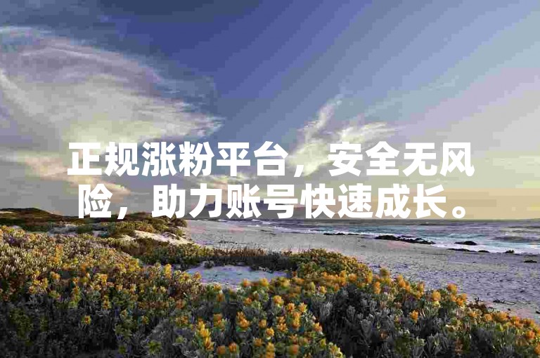 正规涨粉平台，安全无风险，助力账号快速成长。