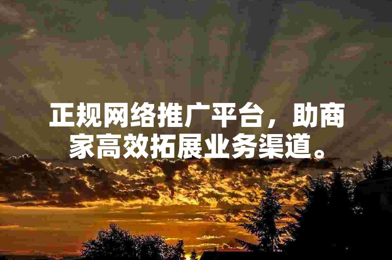 正规网络推广平台，助商家高效拓展业务渠道。