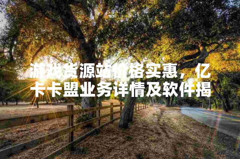 游戏货源站价格实惠，亿卡卡盟业务详情及软件揭秘。