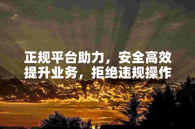 正规平台助力，安全高效提升业务，拒绝违规操作。