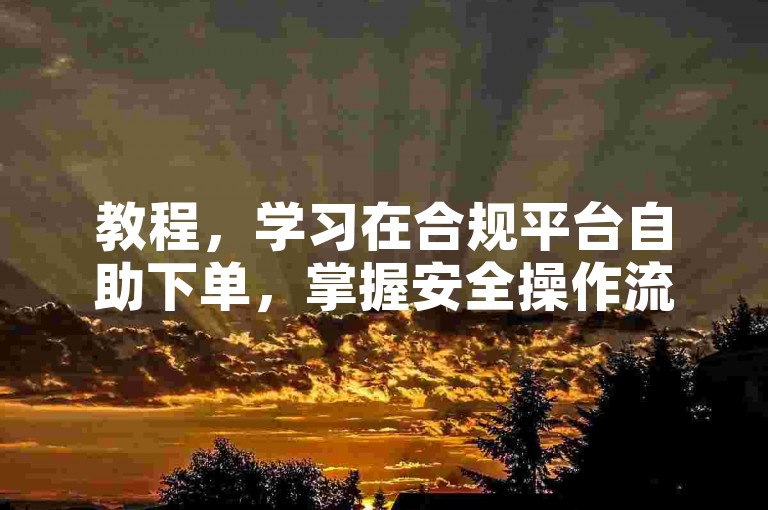 教程，学习在合规平台自助下单，掌握安全操作流程。