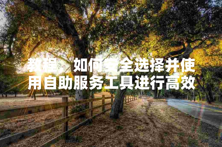 教程，如何安全选择并使用自助服务工具进行高效操作？