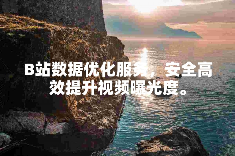 B站数据优化服务，安全高效提升视频曝光度。
