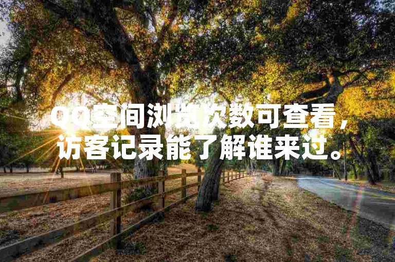 QQ空间浏览次数可查看，访客记录能了解谁来过。