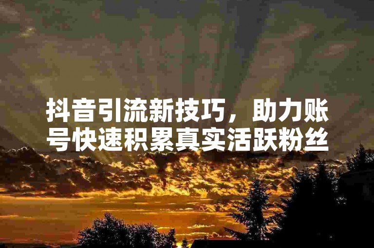 抖音引流新技巧，助力账号快速积累真实活跃粉丝。