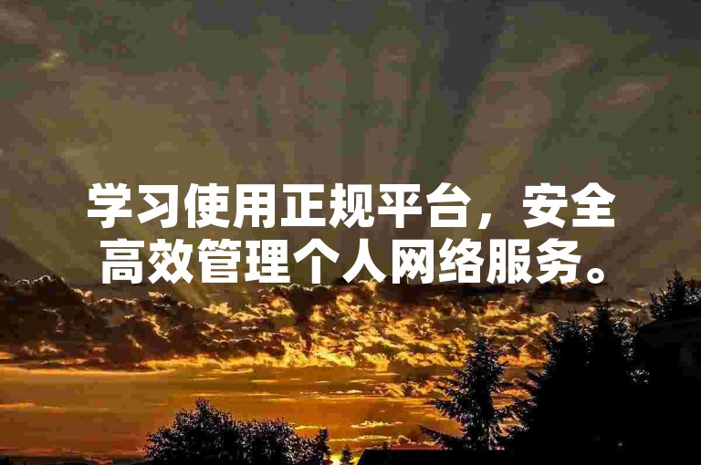 学习使用正规平台，安全高效管理个人网络服务。
