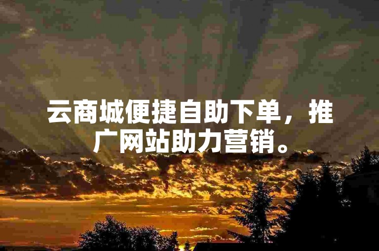 云商城便捷自助下单，推广网站助力营销。