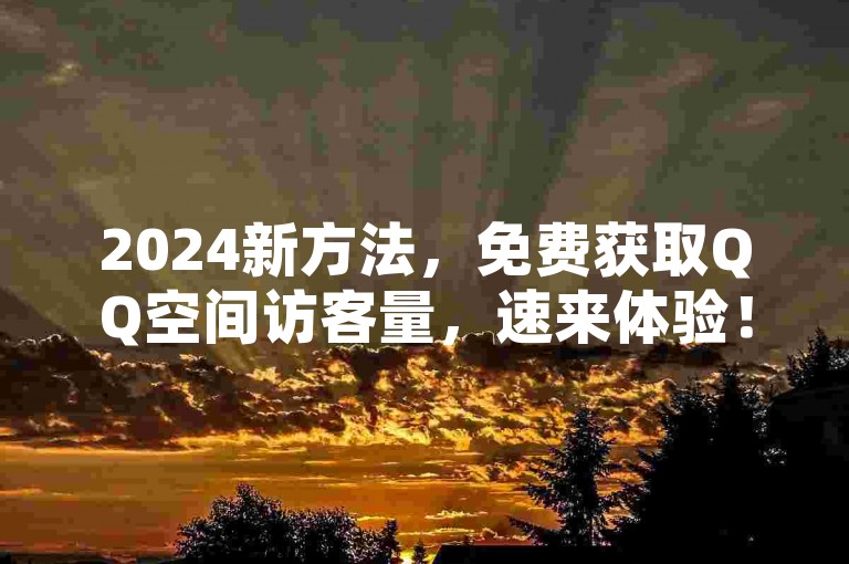 2024新方法，免费获取QQ空间访客量，速来体验！