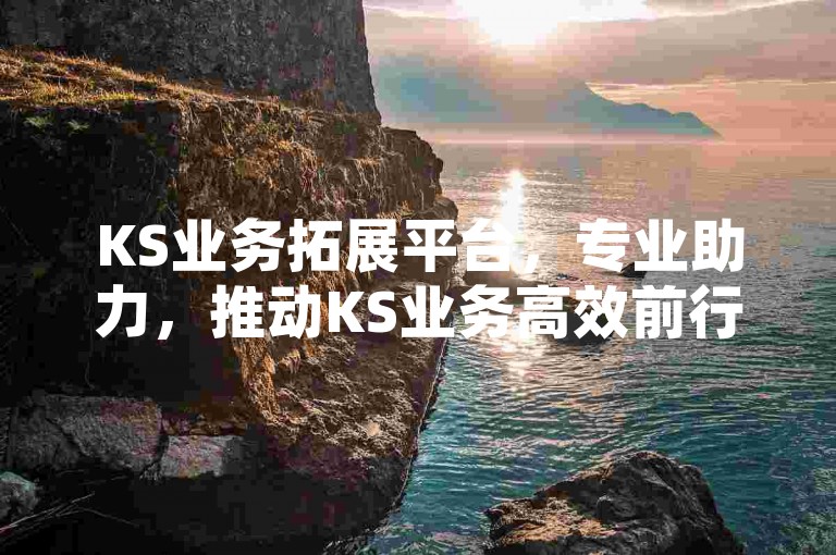 KS业务拓展平台，专业助力，推动KS业务高效前行。