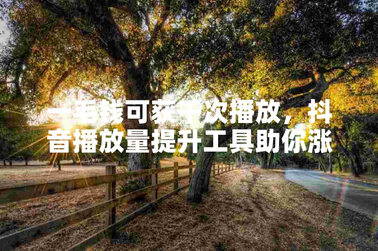 一毛钱可获千次播放，抖音播放量提升工具助你涨流量。