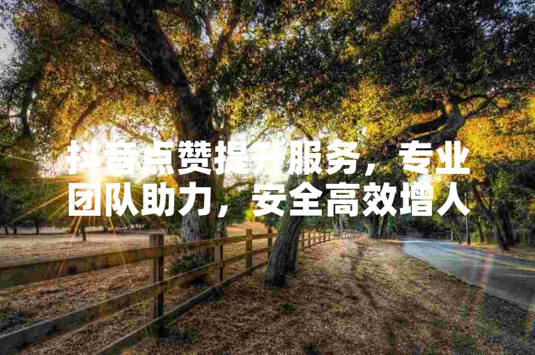 抖音点赞提升服务，专业团队助力，安全高效增人气。