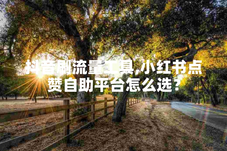 抖音刷流量工具,小红书点赞自助平台怎么选？