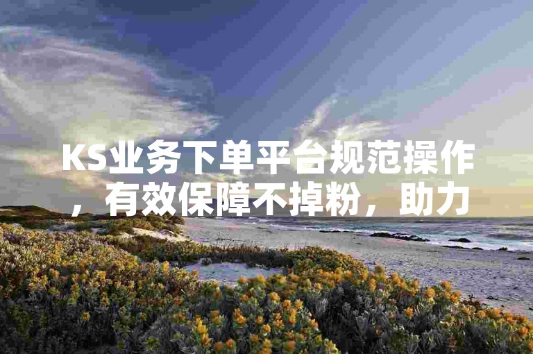 KS业务下单平台规范操作，有效保障不掉粉，助力账号稳定发展
