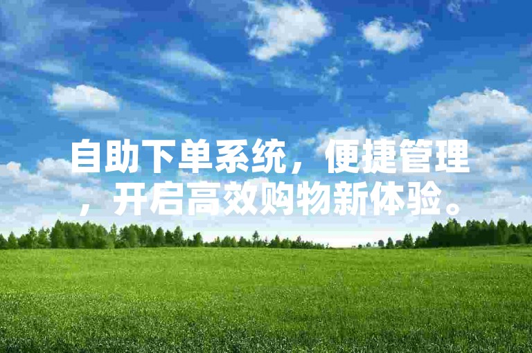 自助下单系统，便捷管理，开启高效购物新体验。