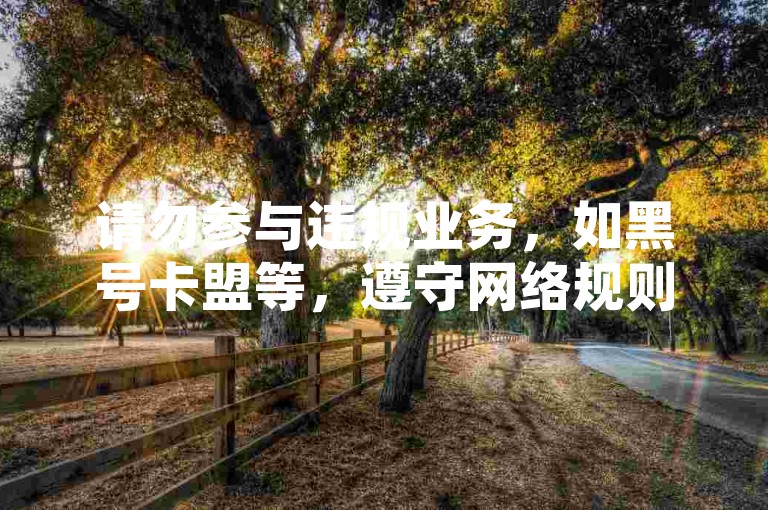 请勿参与违规业务，如黑号卡盟等，遵守网络规则保障安全。