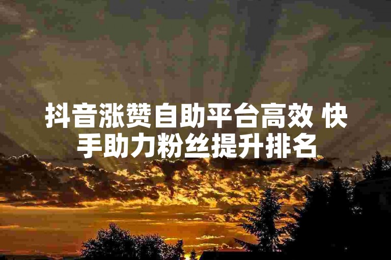抖音涨赞自助平台高效 快手助力粉丝提升排名