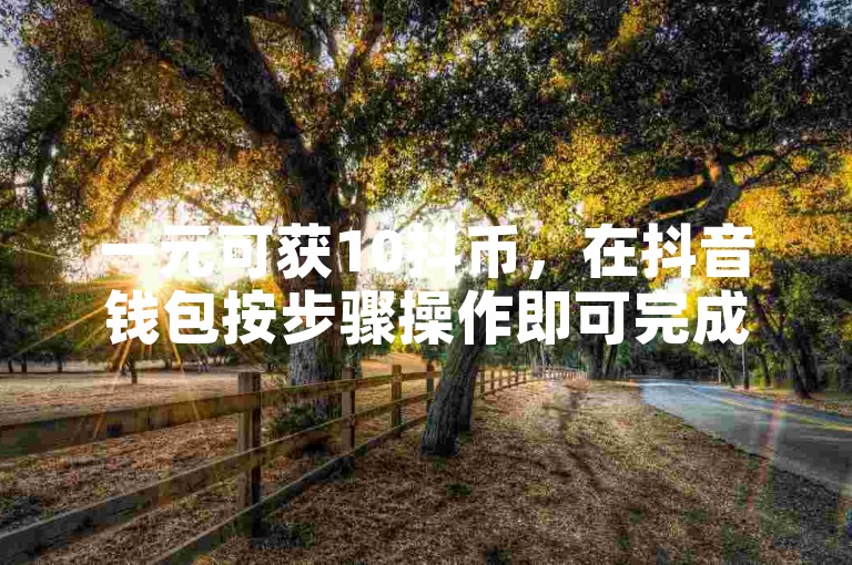 一元可获10抖币，在抖音钱包按步骤操作即可完成充值。