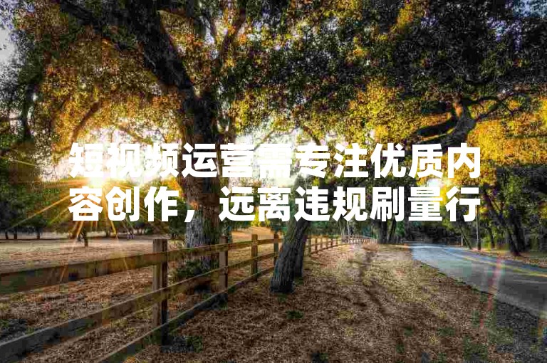 短视频运营需专注优质内容创作，远离违规刷量行为。