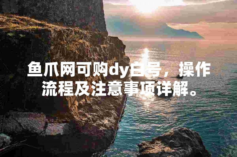 鱼爪网可购dy白号，操作流程及注意事项详解。