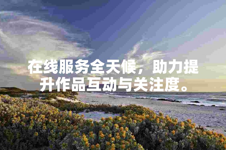在线服务全天候，助力提升作品互动与关注度。