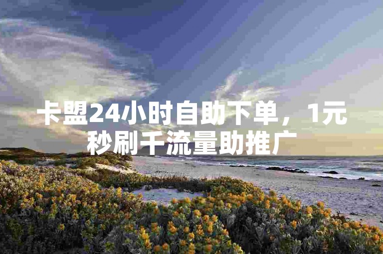 卡盟24小时自助下单，1元秒刷千流量助推广