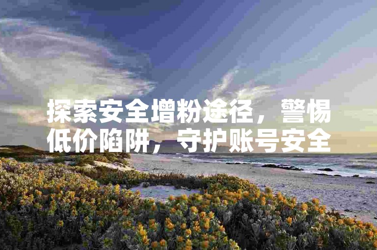 探索安全增粉途径，警惕低价陷阱，守护账号安全。