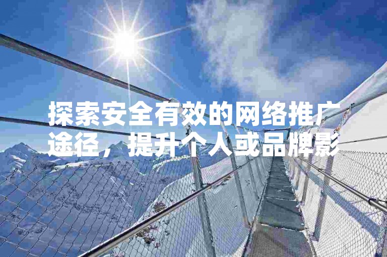 探索安全有效的网络推广途径，提升个人或品牌影响力。