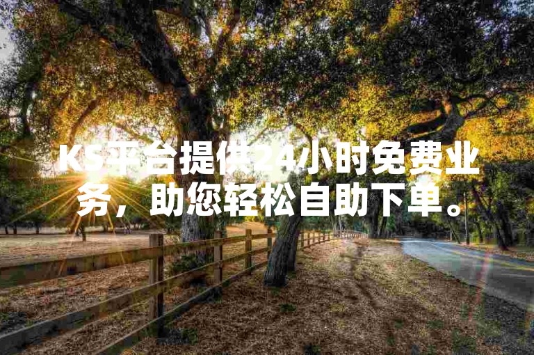 KS平台提供24小时免费业务，助您轻松自助下单。