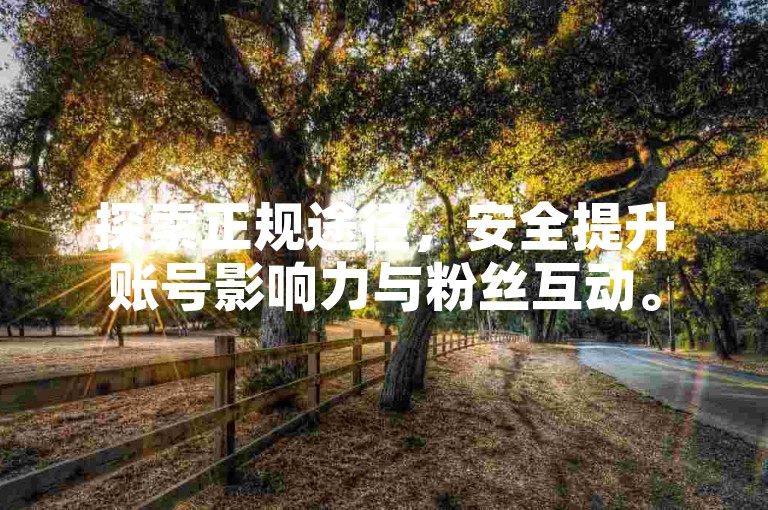 探索正规途径，安全提升账号影响力与粉丝互动。