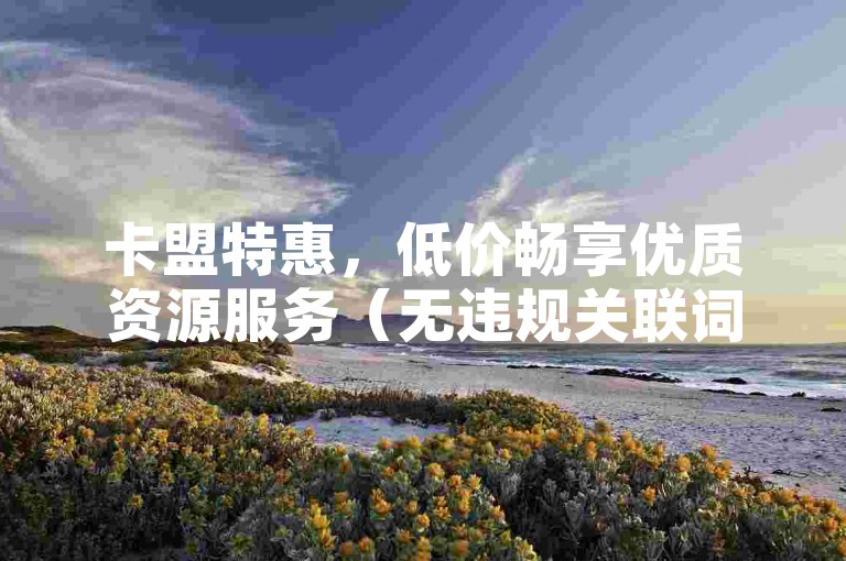 卡盟特惠，低价畅享优质资源服务（无违规关联词）