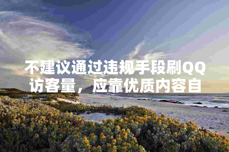 不建议通过违规手段刷QQ访客量，应靠优质内容自然吸引。