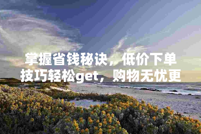 掌握省钱秘诀，低价下单技巧轻松get，购物无忧更划算！