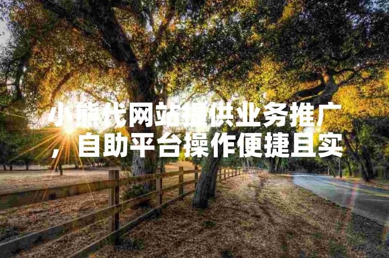 小熊代网站提供业务推广，自助平台操作便捷且实惠。