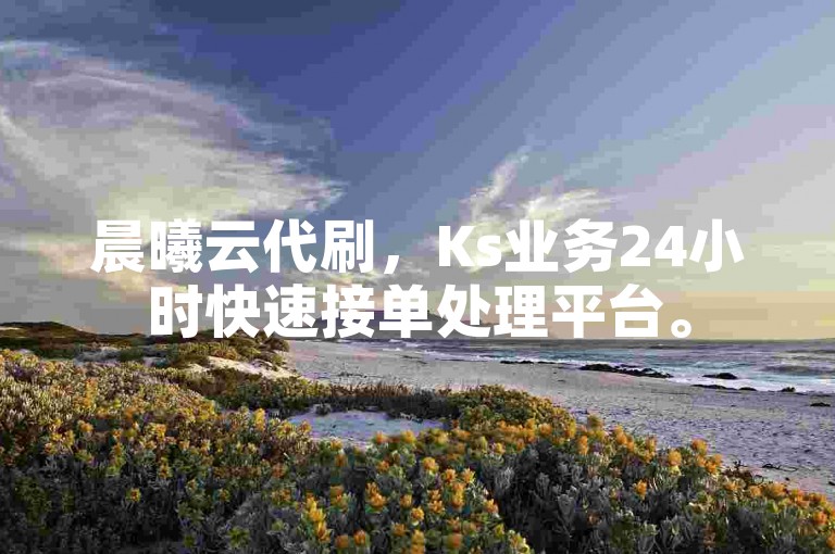 晨曦云代刷，Ks业务24小时快速接单处理平台。
