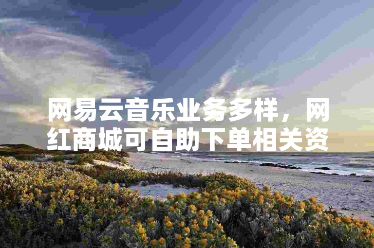 网易云音乐业务多样，网红商城可自助下单相关资源。