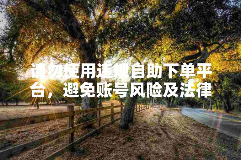 请勿使用违规自助下单平台，避免账号风险及法律问题。
