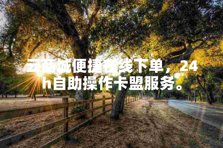 云商城便捷在线下单，24h自助操作卡盟服务。