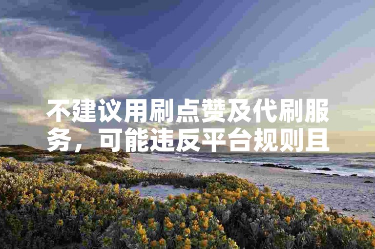 不建议用刷点赞及代刷服务，可能违反平台规则且不诚信。